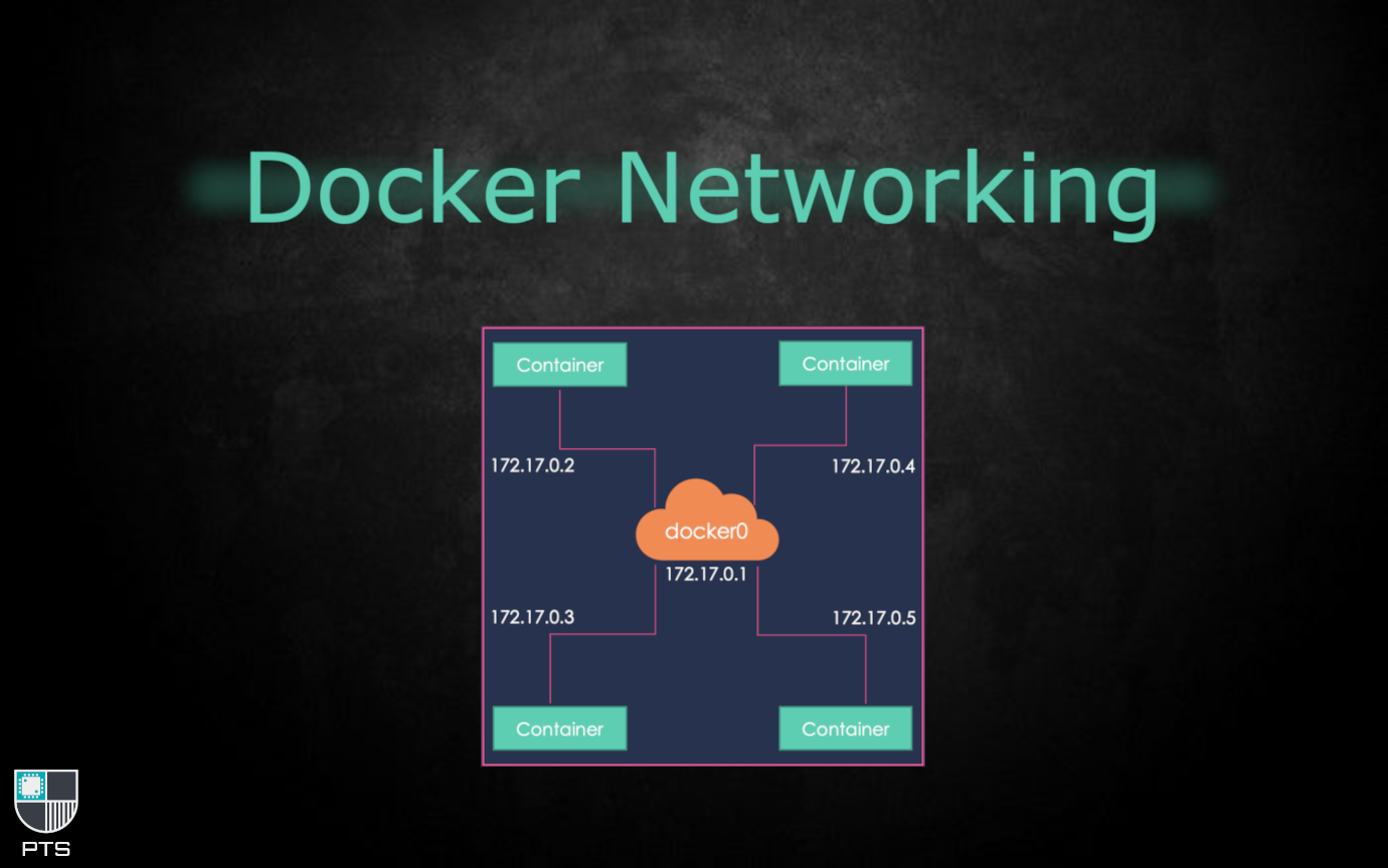 A basic guide to networking in docker - host networks, bridge networks and macvlan networks