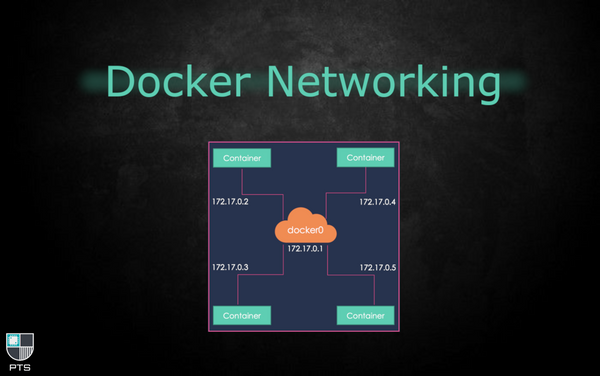 A basic guide to networking in docker - host networks, bridge networks and macvlan networks
